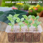 MIXC Seedling Tray Seed Starter Kit Mini Propagator w/Humidity Vented Domes & Base