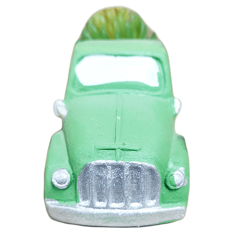 Pickup Truck Succulent, 3 Inch