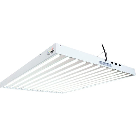 T5 Fixture 12 Light, 648-watt Pre-Owned