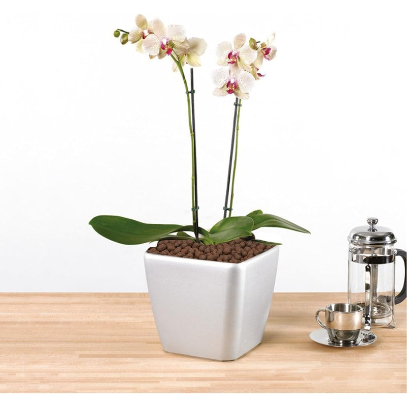 Hydro Crunch Expanded Clay Growing Media, 10 Liter