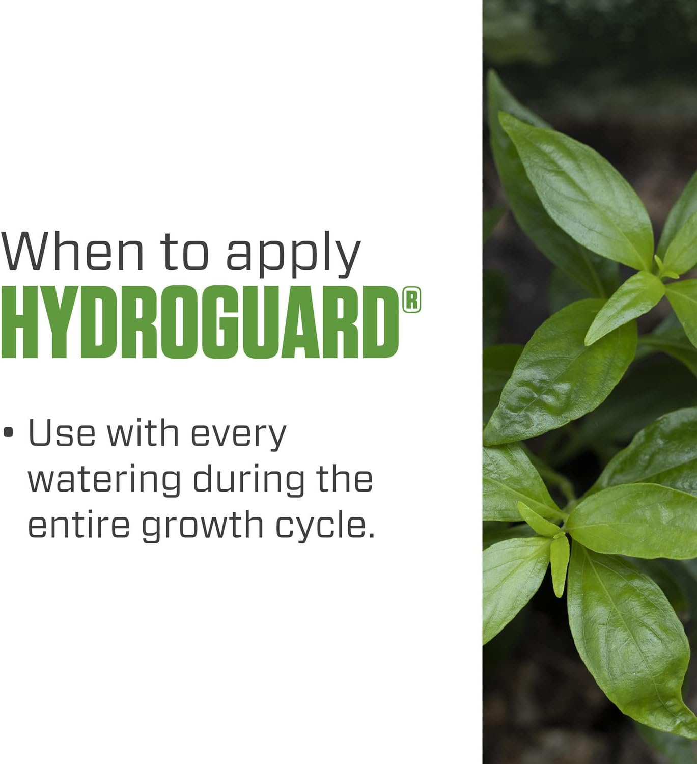 Botanicare Hydroguard Bacillus Root Inoculant, 5-Gallon