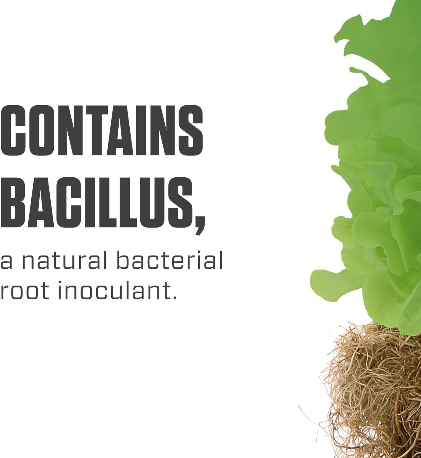 Botanicare Hydroguard Bacillus Root Inoculant, 5-Gallon