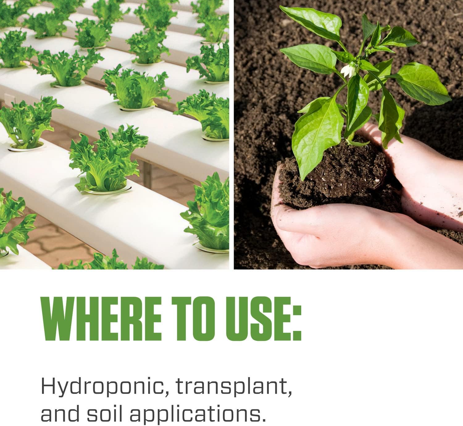 Botanicare Hydroguard Bacillus Root Inoculant, 5-Gallon