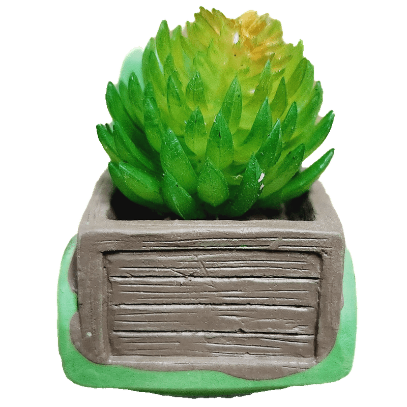 Pickup Truck Succulent, 3 Inch