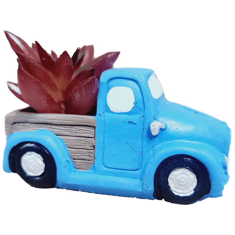 Pickup Truck Succulent, 3 Inch
