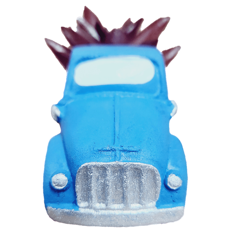 Pickup Truck Succulent, 3 Inch