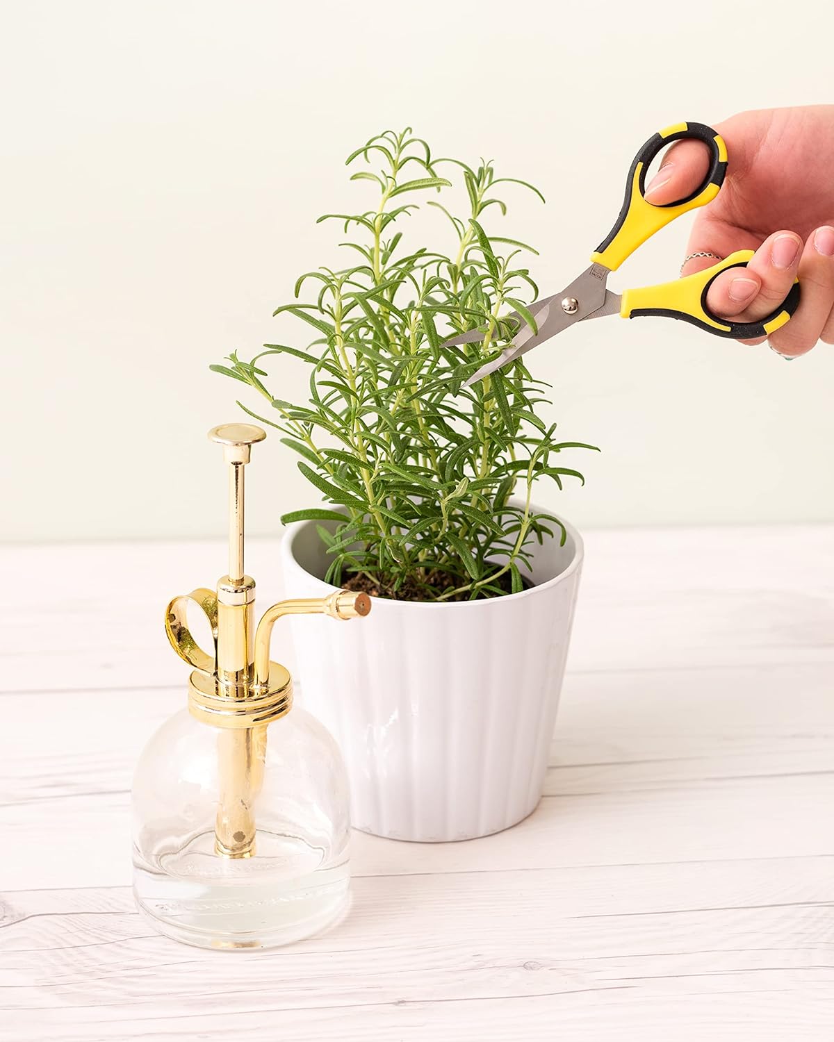 EK Tools Cutter Bee Precision Scissors, Small, Yellow and Black, Package Includes 1 Ergonomic Scissor and 1 Protective Safety Cover, For Cutting, Crafting, Paper, Herbs, and More