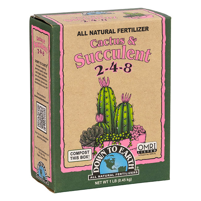 Cactus and succulent 2-4-8
