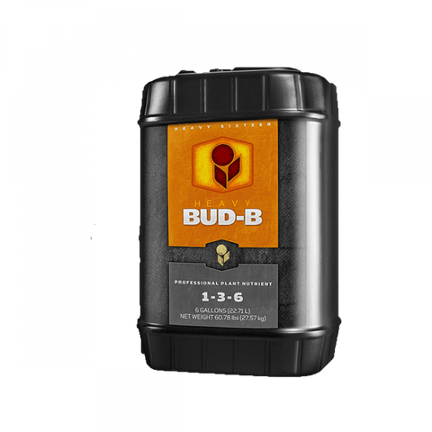 Heavy 16 bud B 6 gallon