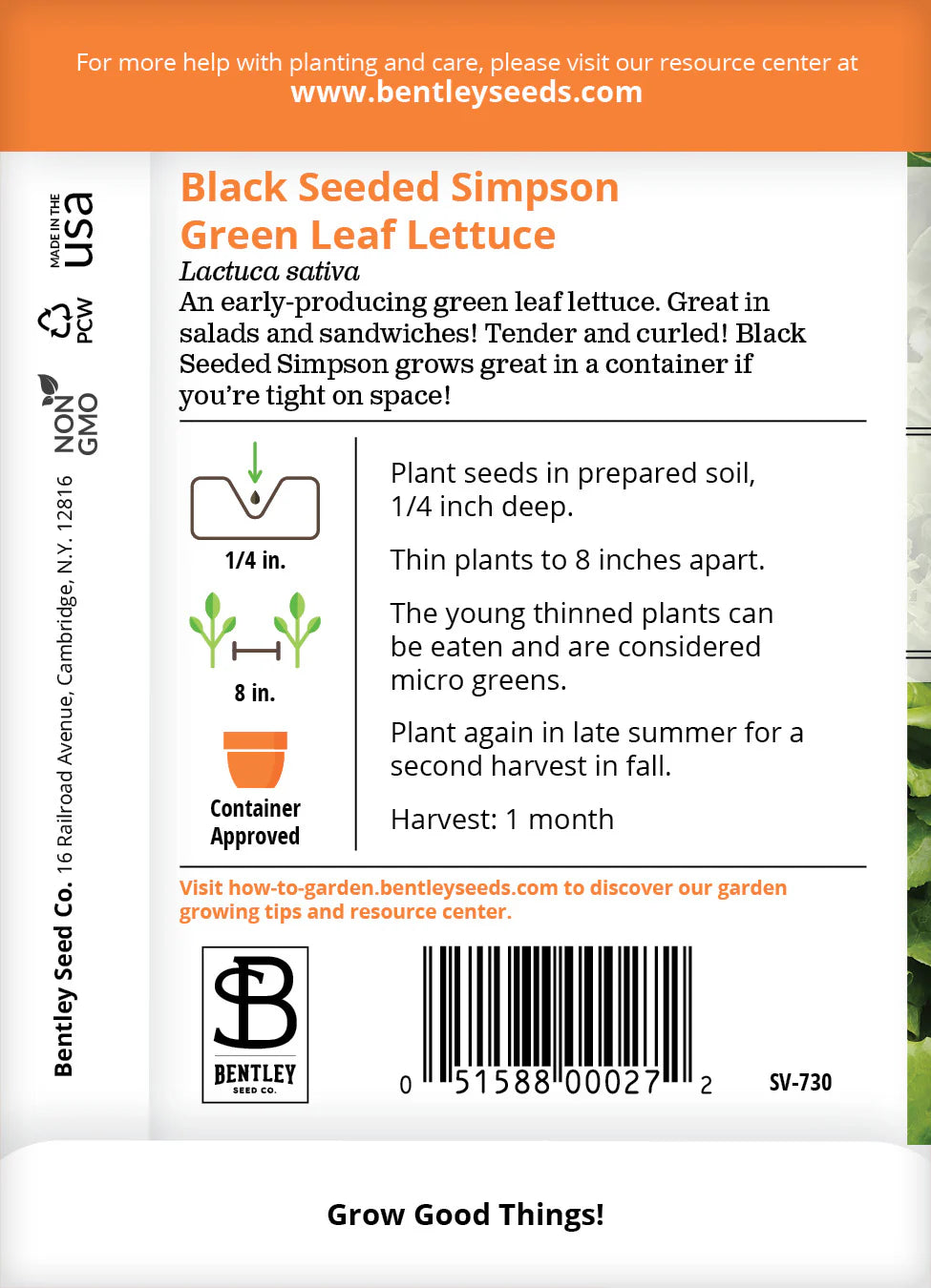 Bentley Seed Co. Lettuce, Simpson's Curled Seed Packets