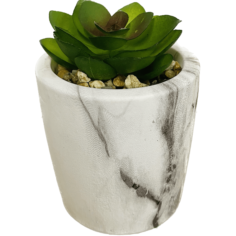 Marble Pot with Succulent Decor