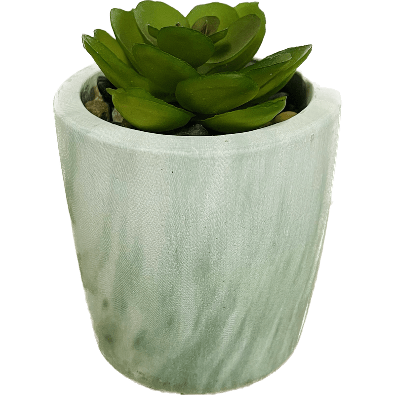 Marble Pot with Succulent Decor