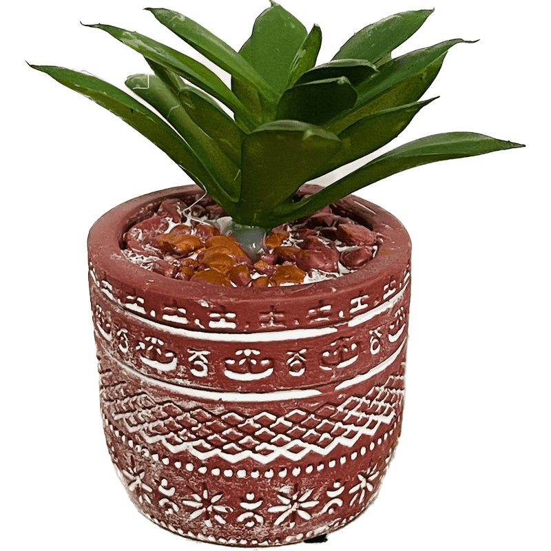 Terra Cotta Succulent Decor