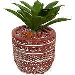 Terra Cotta Succulent Decor