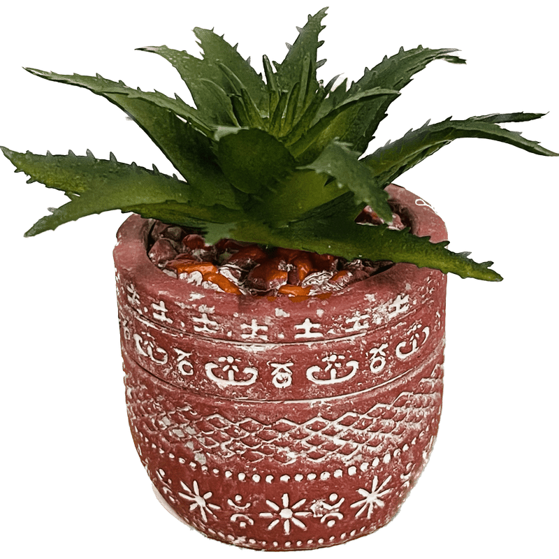 Terra Cotta Succulent Decor