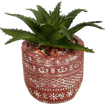 Terra Cotta Succulent Decor