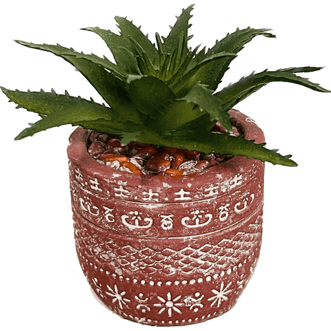 Terra Cotta Succulent Decor