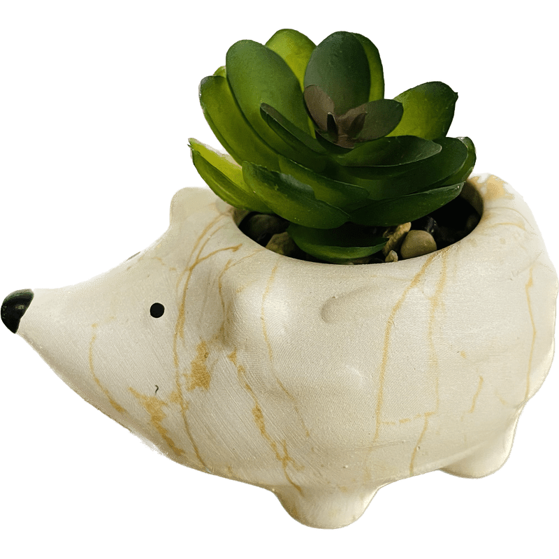 Medium Hedgehog Succulent Decor