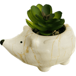 Medium Hedgehog Succulent Decor