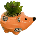 Medium Hedgehog Succulent Decor