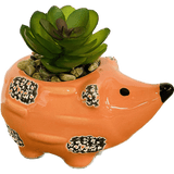 Medium Hedgehog Succulent Decor