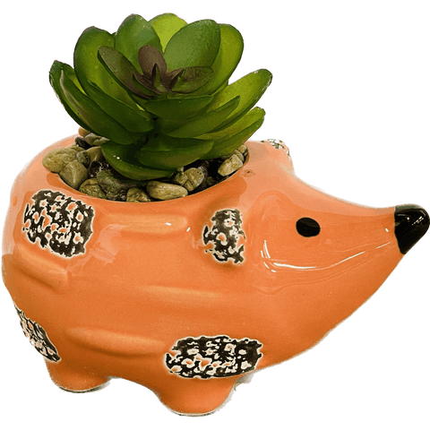 Medium Hedgehog Succulent Decor