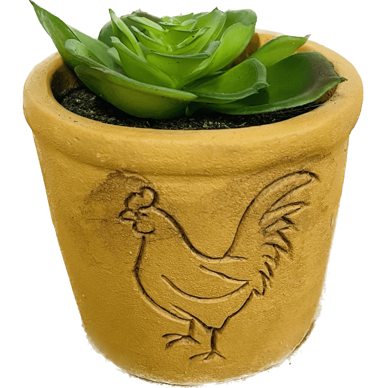 Terra Cotta Animal Succulent Decor