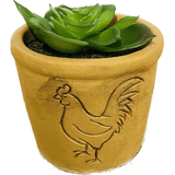 Terra Cotta Animal Succulent Decor