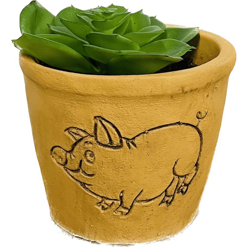 Terra Cotta Animal Succulent Decor
