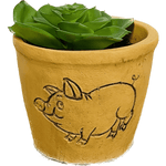Terra Cotta Animal Succulent Decor