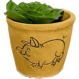 Terra Cotta Animal Succulent Decor