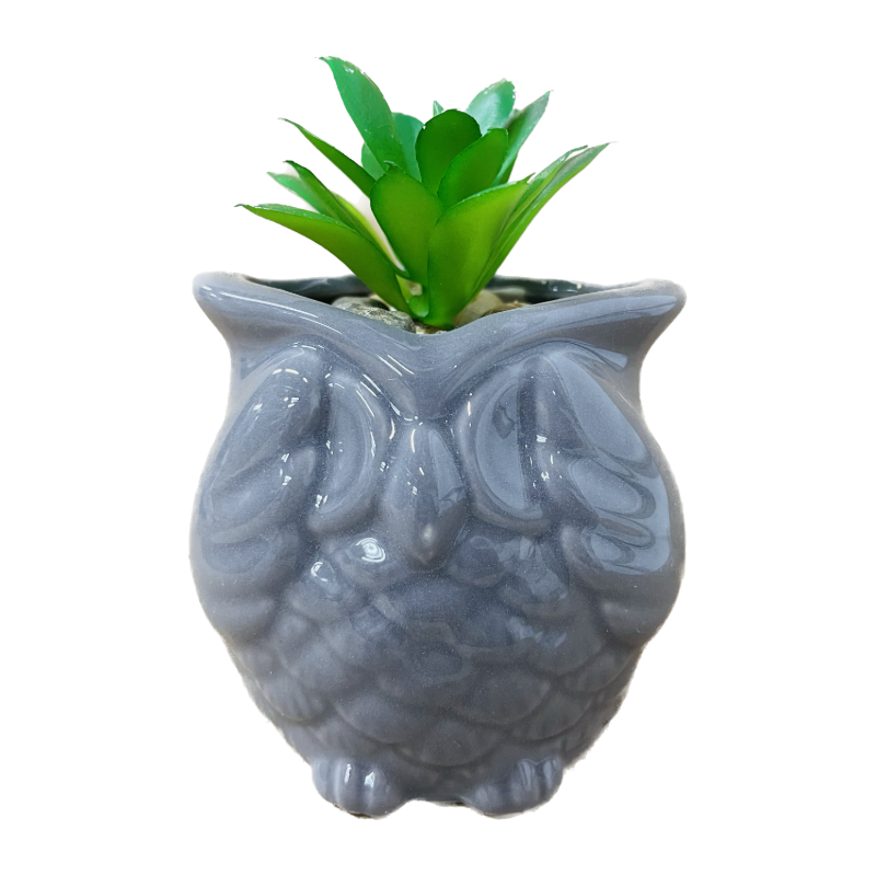 Owl Succulent Decor