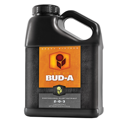 HEAVY 16 Bud-A (2-0-3) Quart