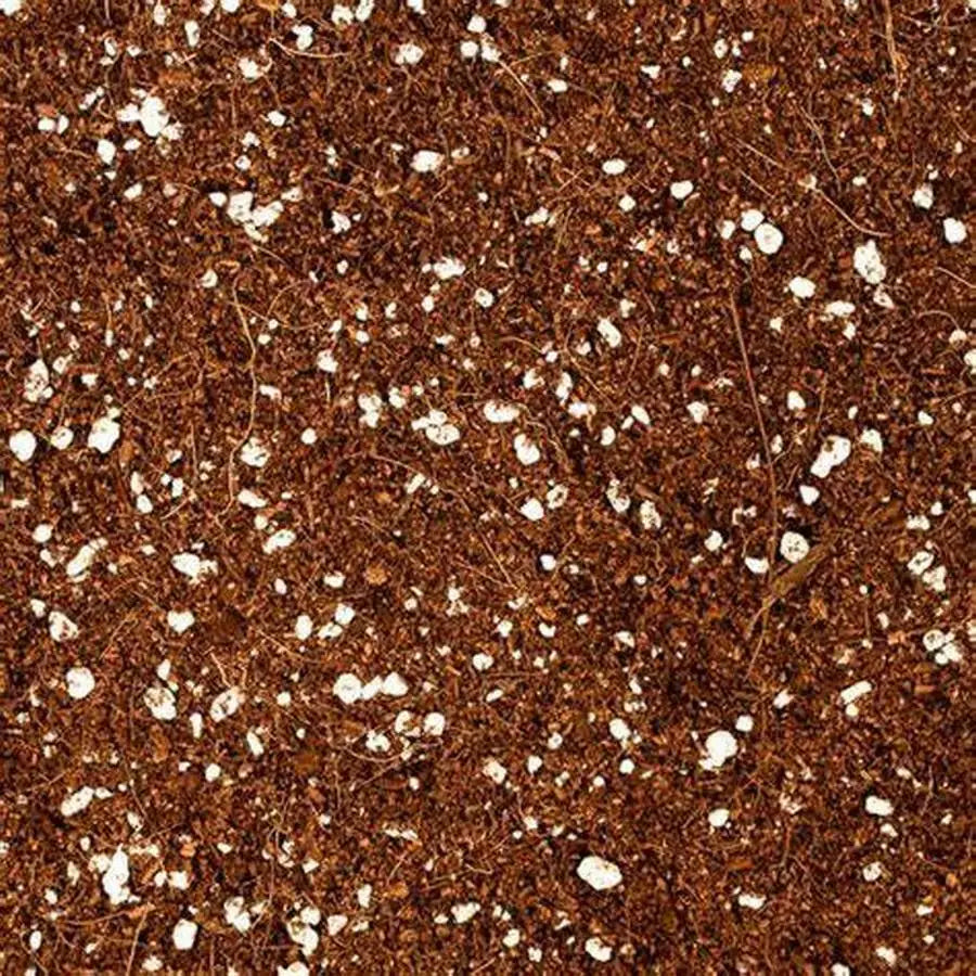 Baja Coco Premium Coco Coir Perlite Mix, 1.5 cu. ft.