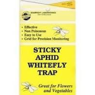 Seabright Laboratories, Sticky Aphid/Whitefly Traps, Yellow, 5 Pack
