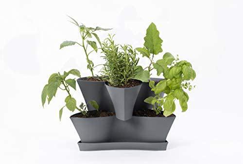 Bloem® Collins 2 Level Planter
