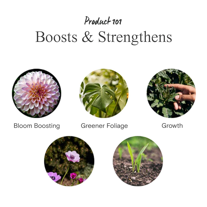 Arber Plant Food, 8oz