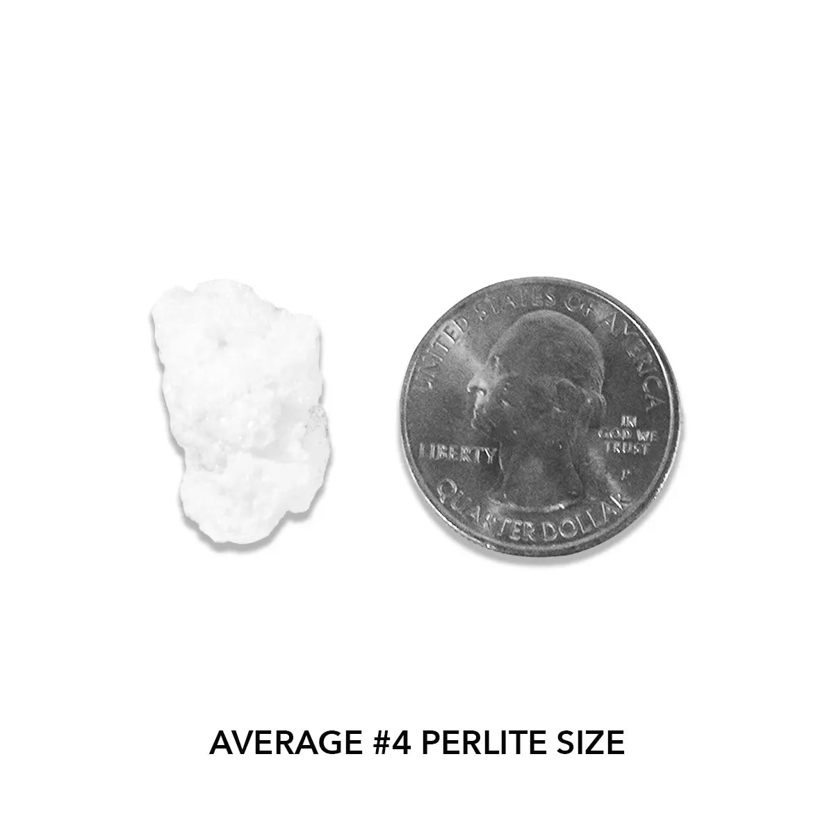 Pahroc Giant Perlite #4, 4 cu ft.