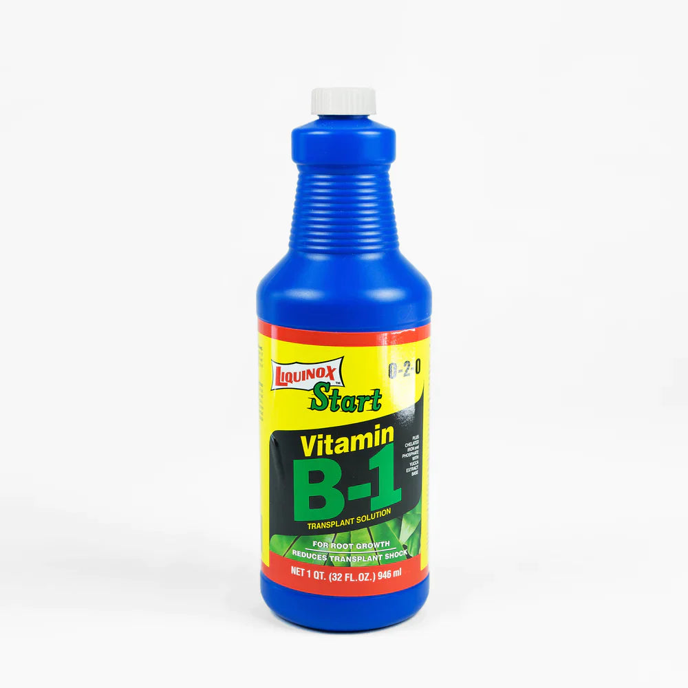 Liquinox™ Start Western States Vitamin B-1, Quart